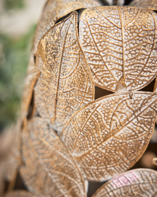 Grande poire botanique dorée