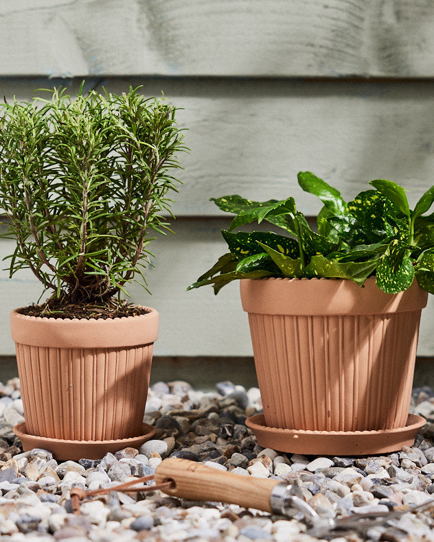 Ribbed Terracotta Plant Pot and Saucer