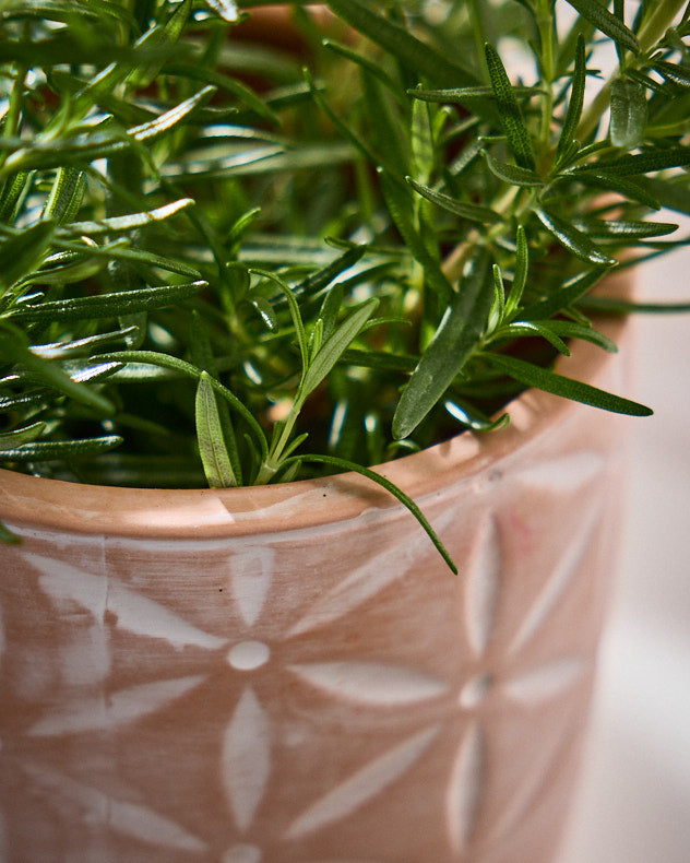 Floral Terracotta Footed Plant Pot