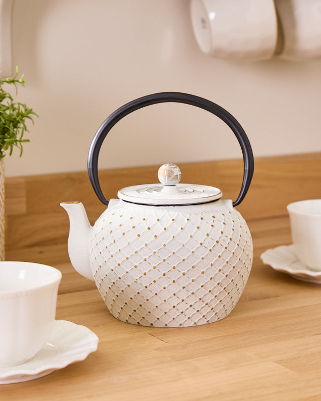 Mizuni White Iron Teapot
