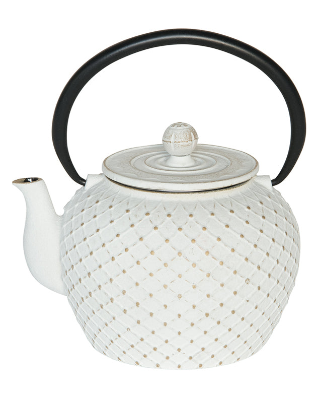 Mizuni White Iron Teapot