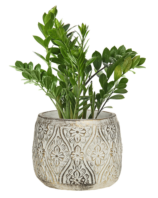 Bazille Floral Embossed Planters