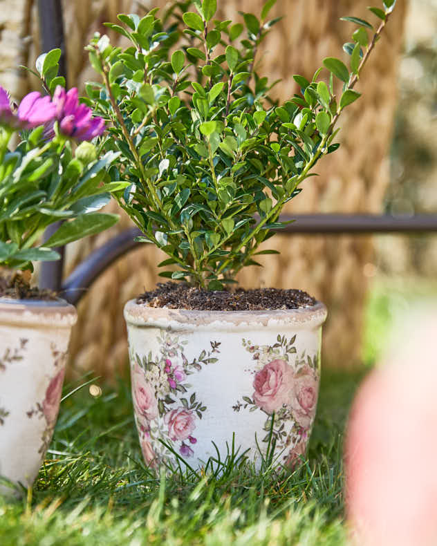 Vintage Floral Patterned Ceramic Planter