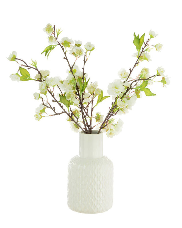 Cream Blossom Spray in Geometric Vase