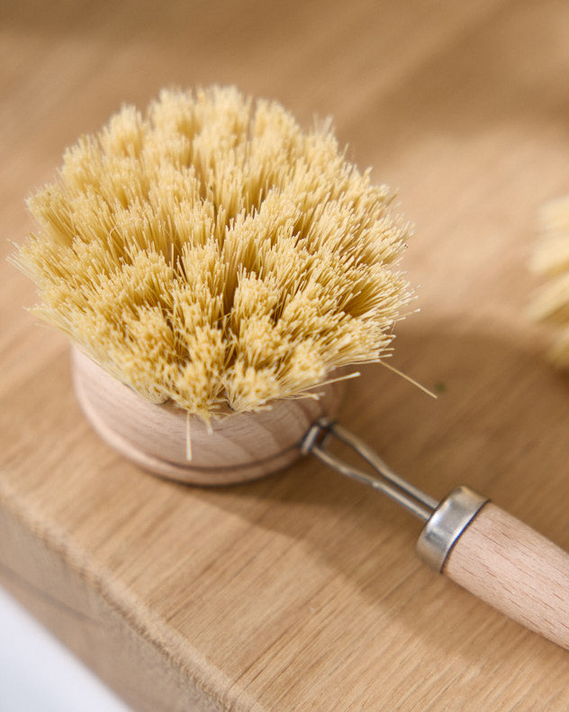 Kitchen Accessories - Set of 2 Traditional Scrubbing Brushes