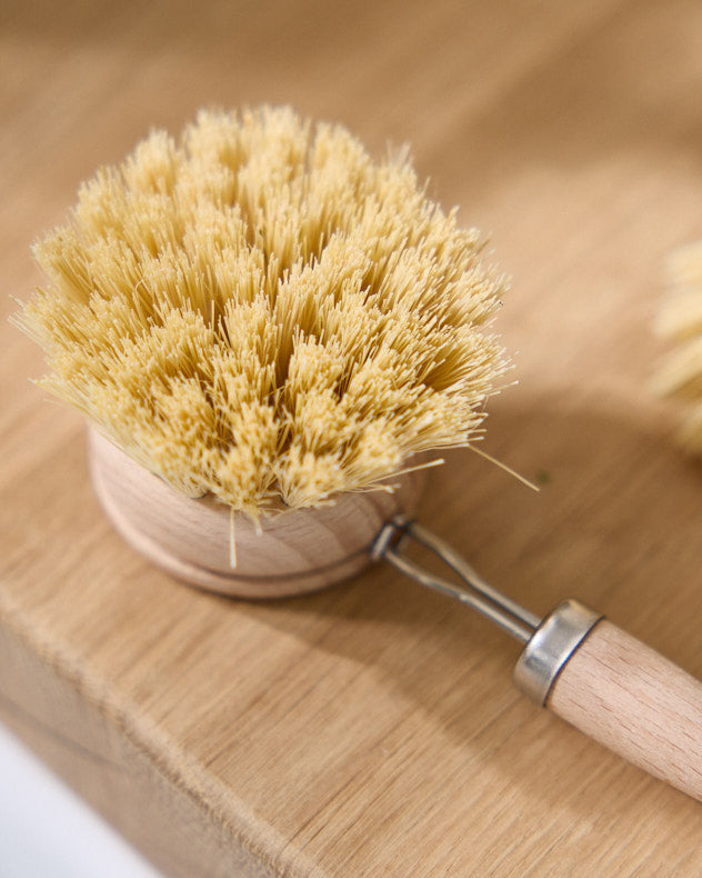 Set of 2 Traditional Scrubbing Brushes