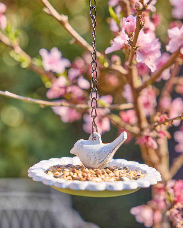 Bird Feeders - Hanging Flower Bird Feeder