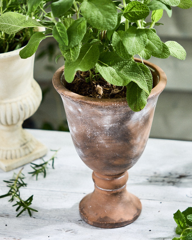Almeria Rustic Urn Planter