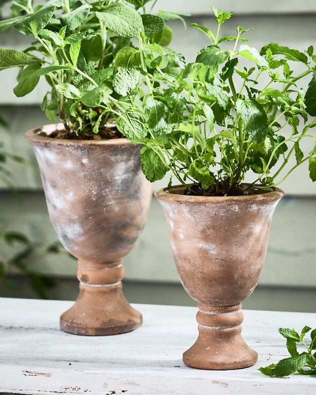 Almeria Rustic Urn Planters