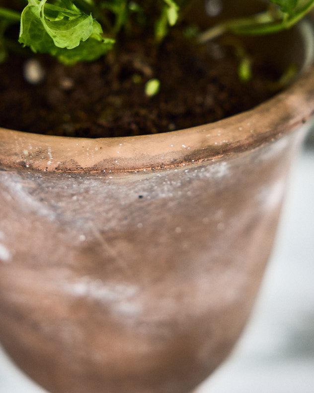 Closeup of Almeria Rustic Urn Planter