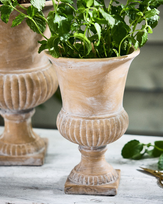 Elegant Cement Worn Pillar Planter