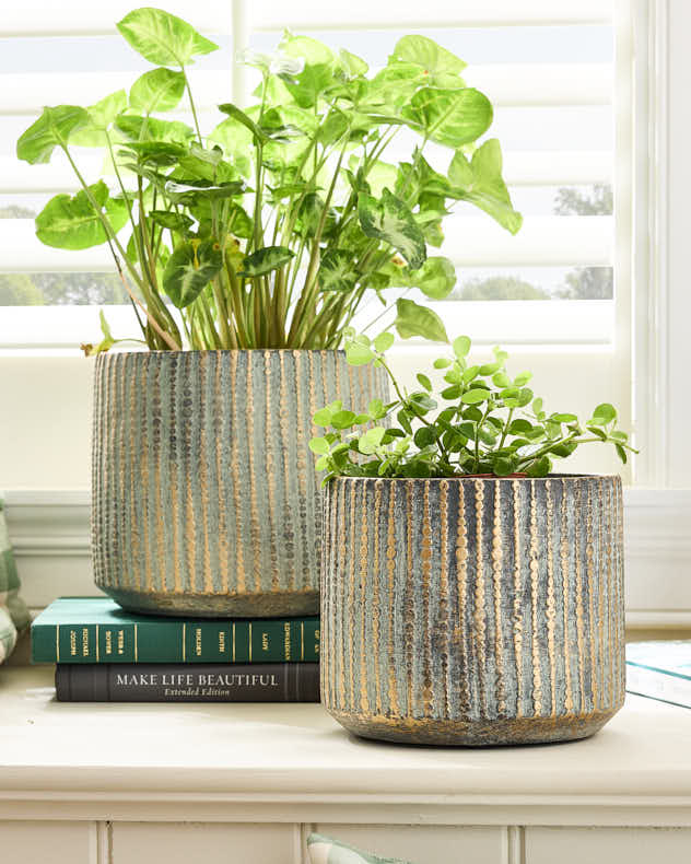 Samaran Gold Brushed Planter Collection