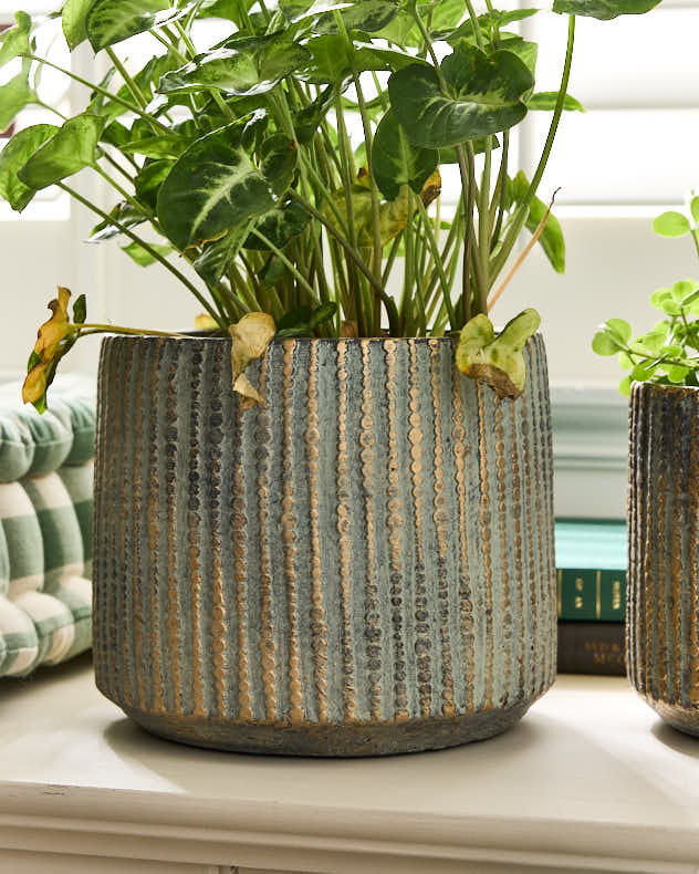 Samaran Gold Brushed Planter Collection