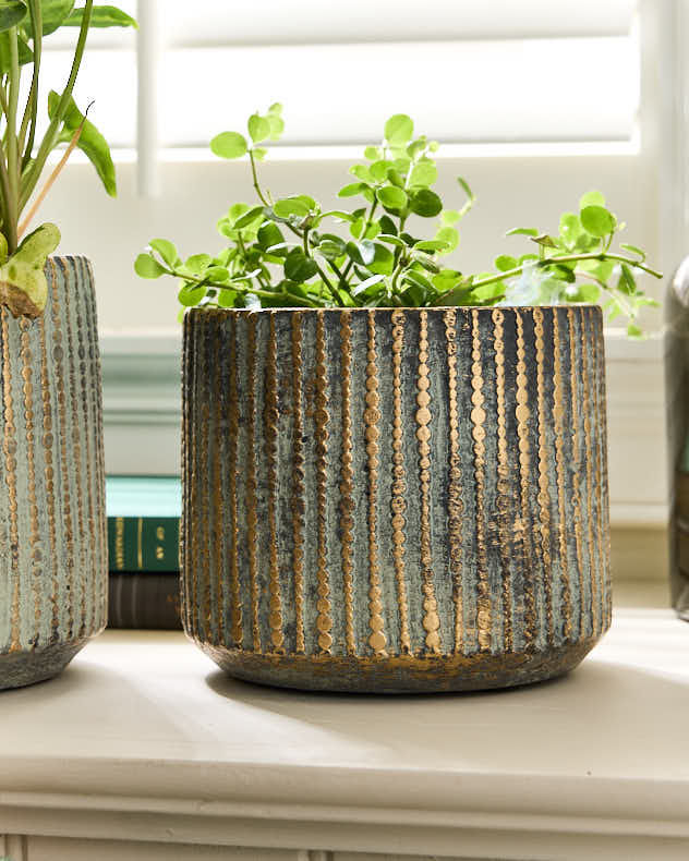 Samaran Gold Brushed Planter Collection