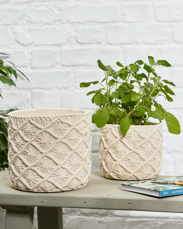 Escala Braided Planter Collection