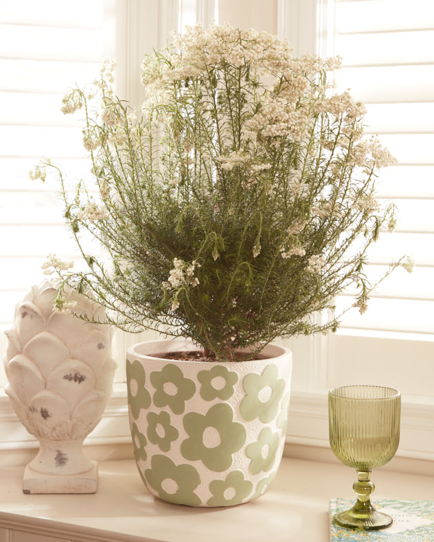 Green Mod Flower Pattern Plant Pot