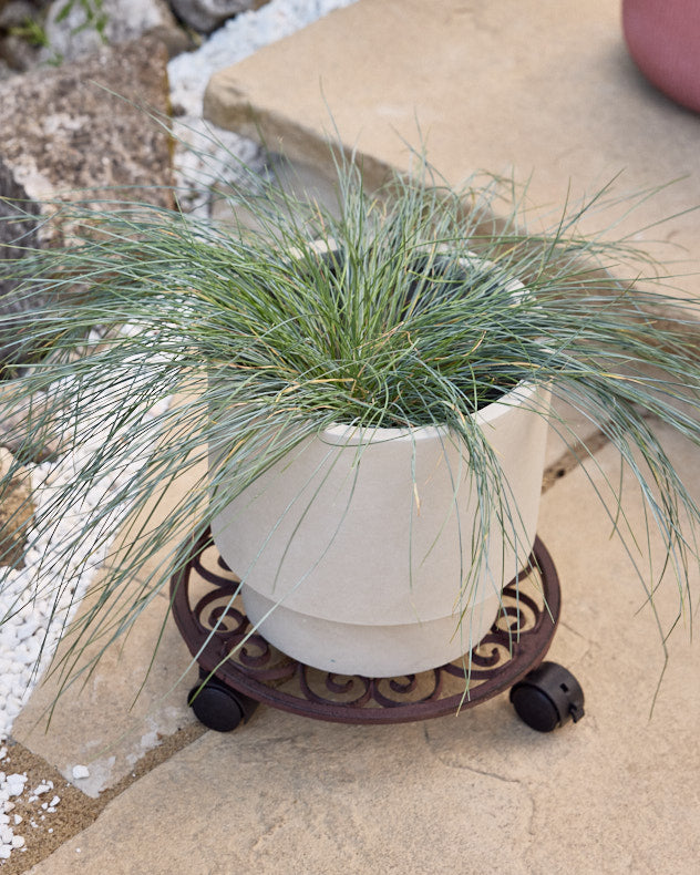 Dannes Round Scrolled Plant Trolley