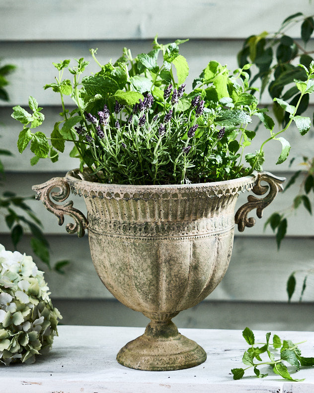 Avion Vintage Green Urn Planters