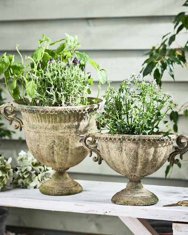 Avion Vintage Green Urn Planters