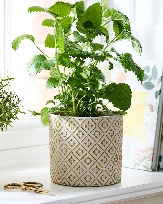 Corona Diamond Patterned Planters