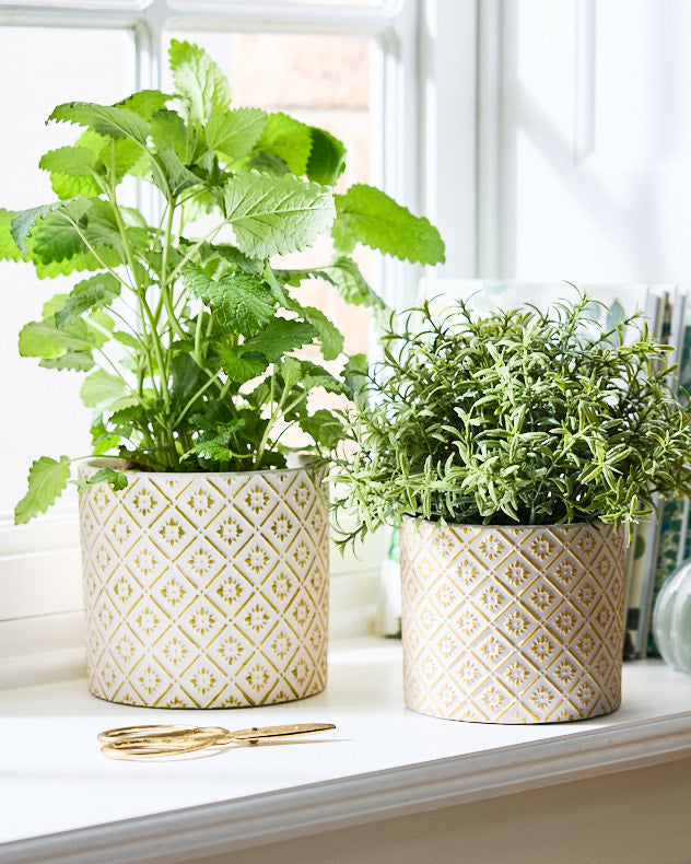 Corona Diamond Patterned Planters