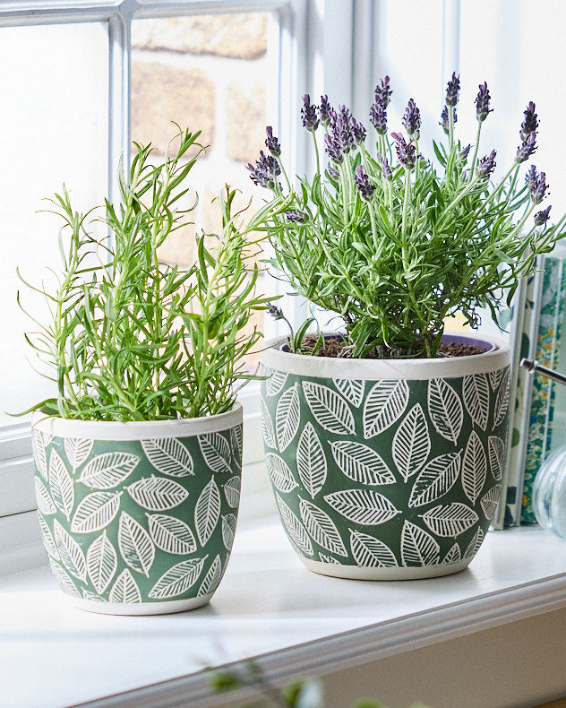 Basoa Green Leaf Patterned Planters