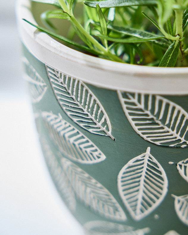 Basoa Green Leaf Patterned Planters