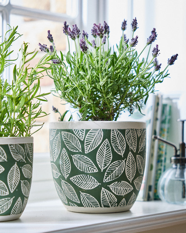 Basoa Green Leaf Patterned Planters