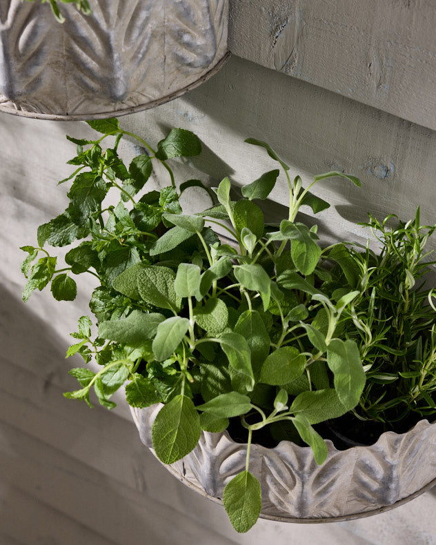 Lisota Set of 2 Leaf Wall Planters