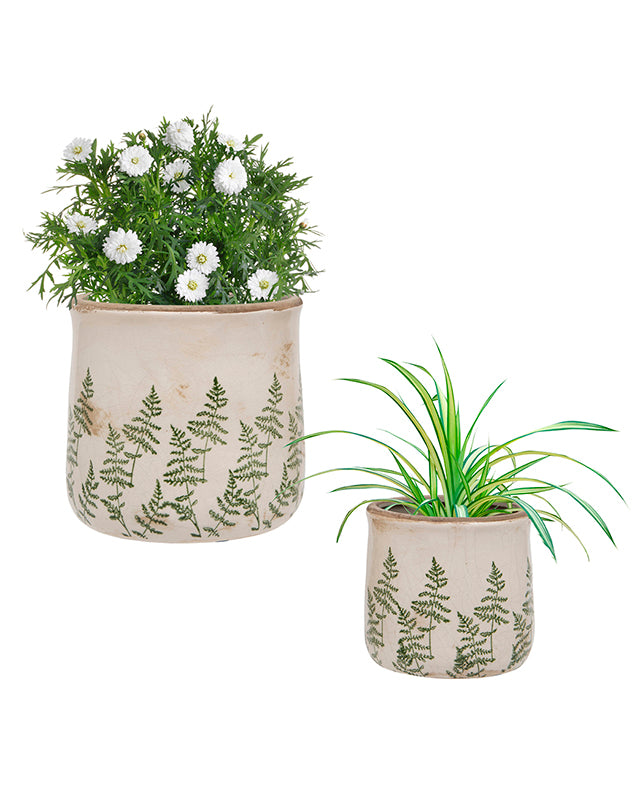 Varen Set of 2 Fern Plant Pots