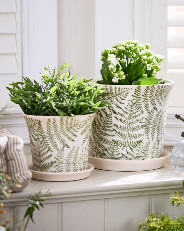 Macapa Set of 2 Leaf Planters with Trays