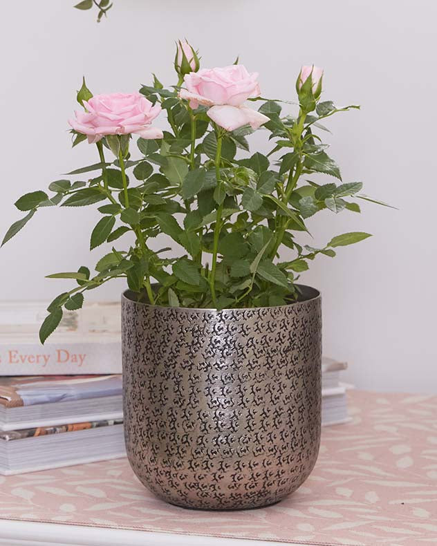 Zaio Hammered Metal Planters