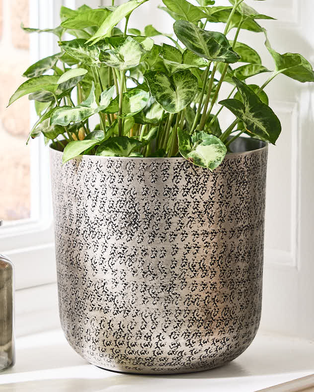 Zaio Hammered Metal Planters