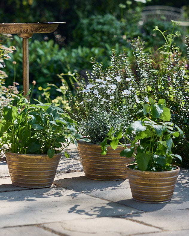 Silver & Bronze Metal Pots & Planters - Sinda Set of 3 Ribbed Planters