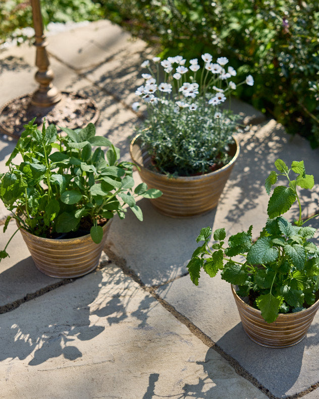 Pots &amp; Planters - Sinda Set of 3 Ribbed Planters