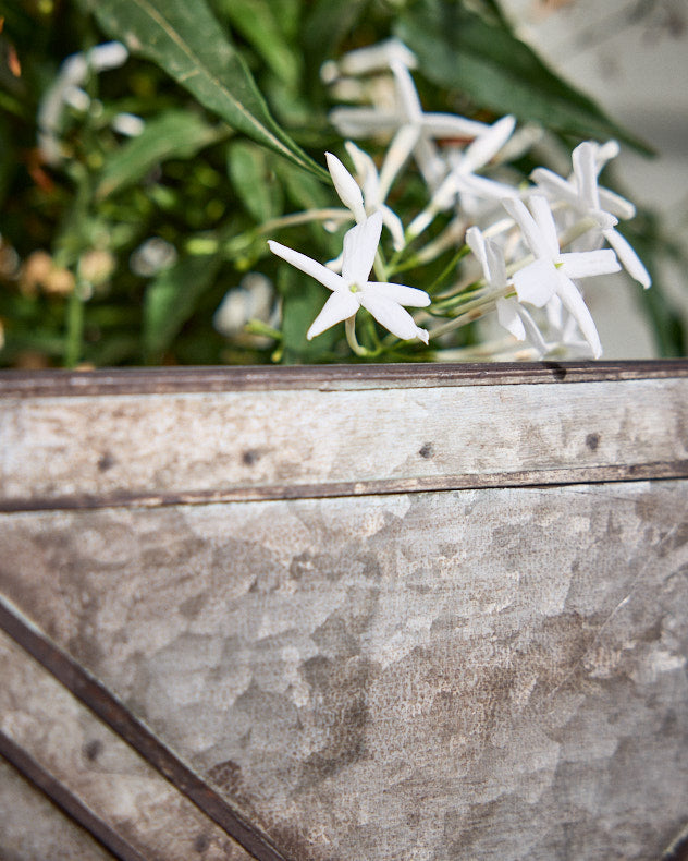 Roda Set of 3 Vintage Planter Boxes