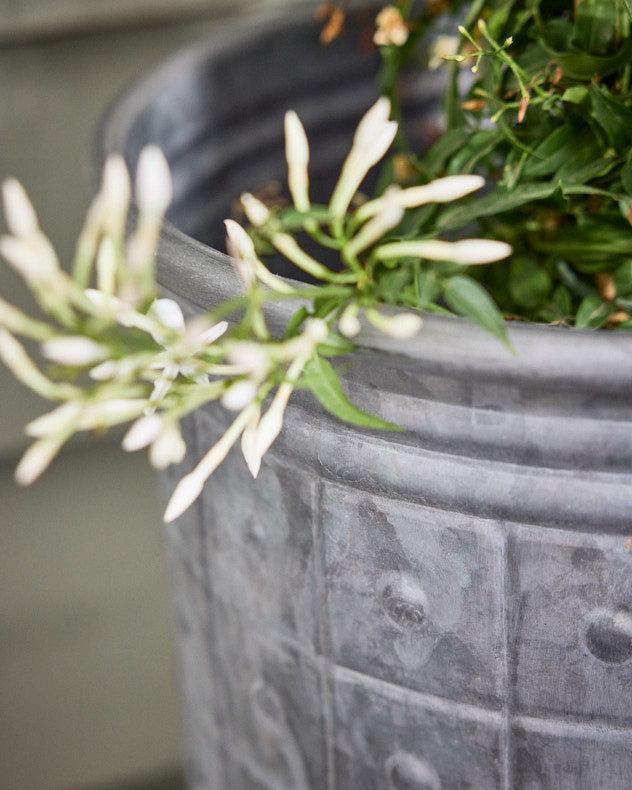 Cabora Set of 3 Textured Planters
