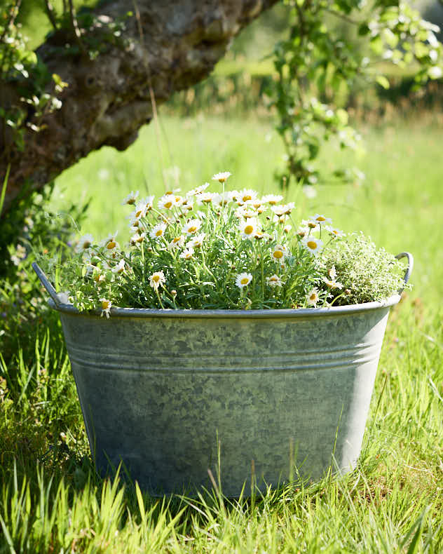 Traditional Metal Planter Tub with Handles