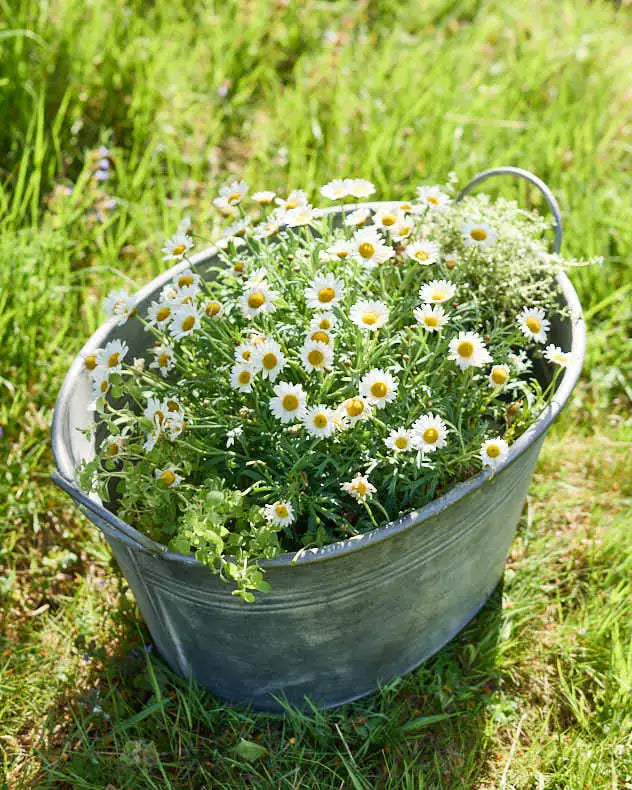 PLANTER TUB