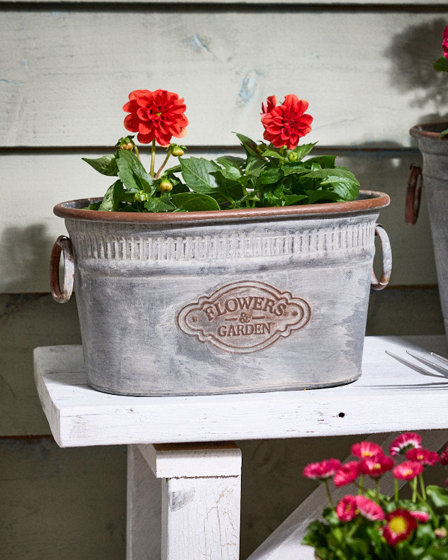 Flowers and Garden Metal Planters