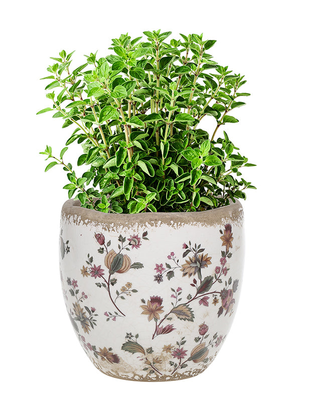 Belfort Floral Planter