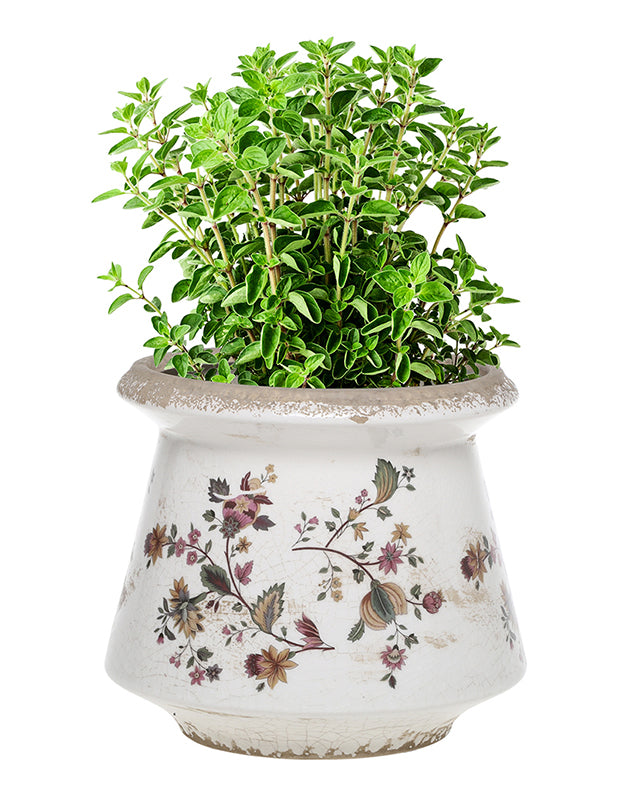 Belfort Floral Planter