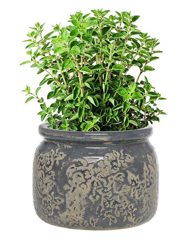 Soire Blue Floral Planter