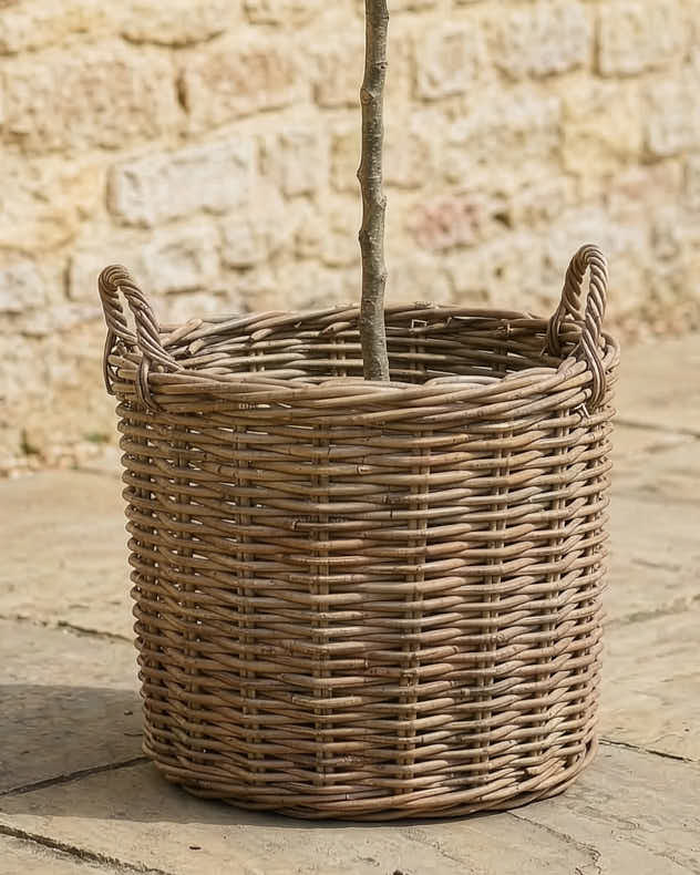 Plant Pot Round - Premium Willow Wicker Planter Collection