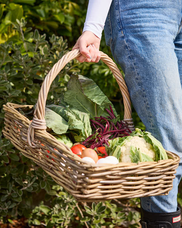 Rectangular Wicker Harvest Trug