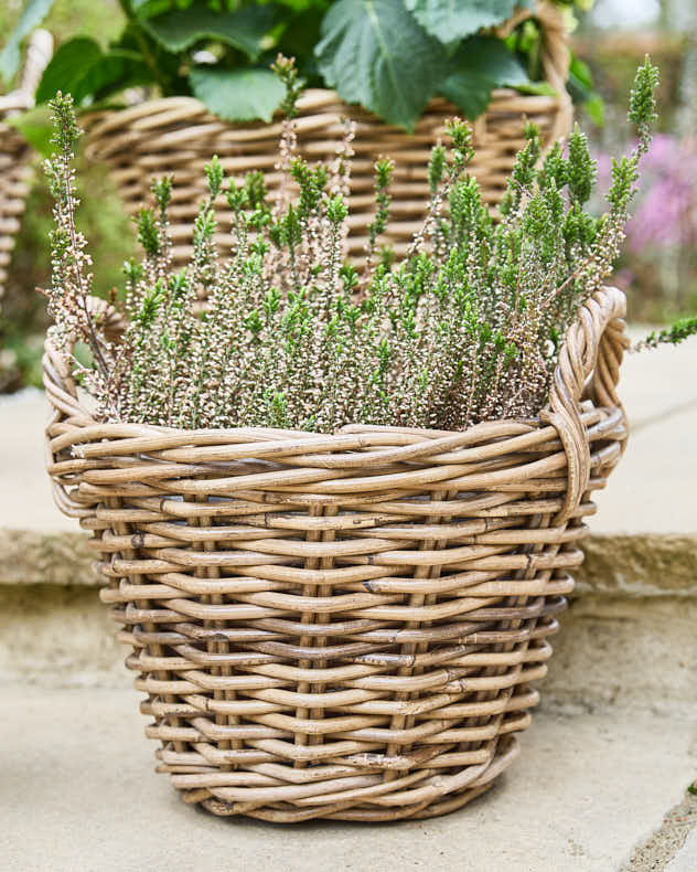 Planter Basket XL - Lined Wicker Planter Baskets with Handles