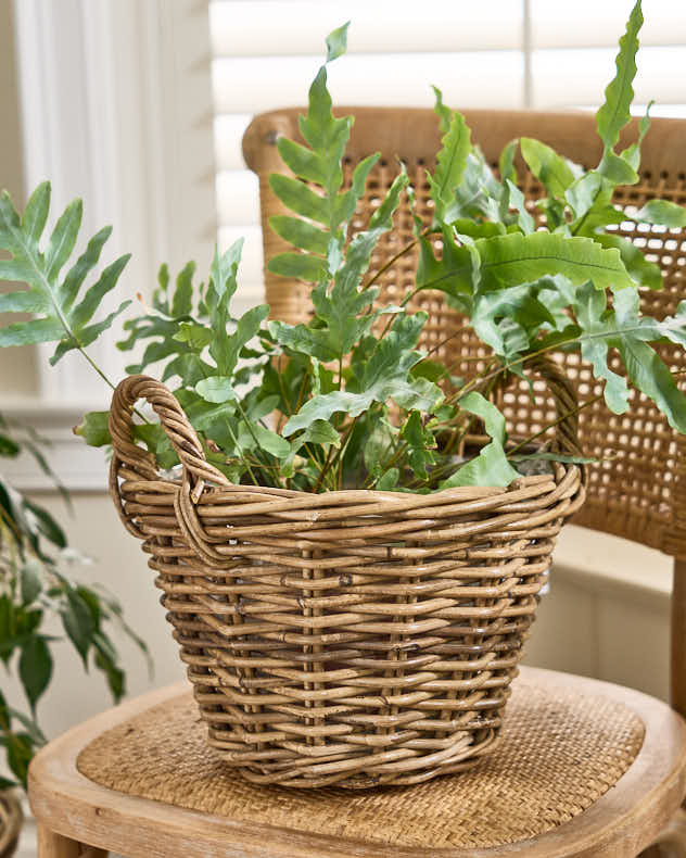 Lined Wicker Planter Baskets with Handles