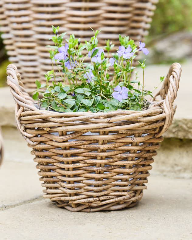 Planter Basket M - Lined Wicker Planter Baskets with Handles