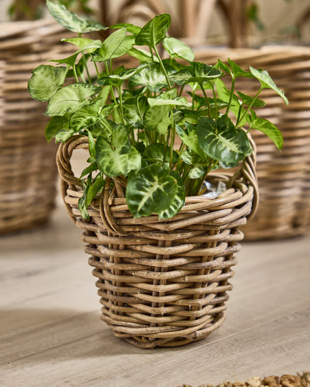 Baskets M - Lira Round Lined Baskets with Handles