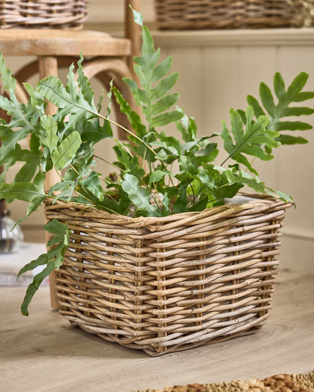 Bala Square Lined Planter Baskets